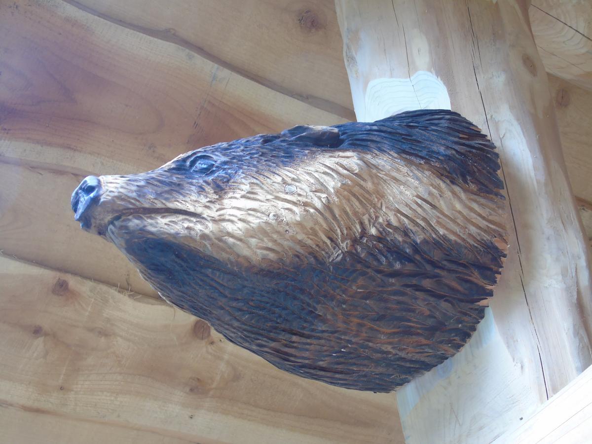 特尔福德Badger'S Wood At Hoo Farm别墅 外观 照片